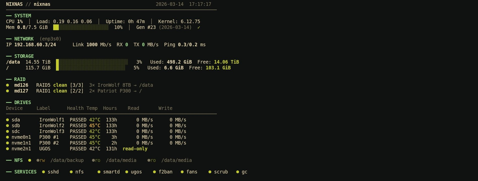 Screenshot of the nixnas-status dashboard in a terminal